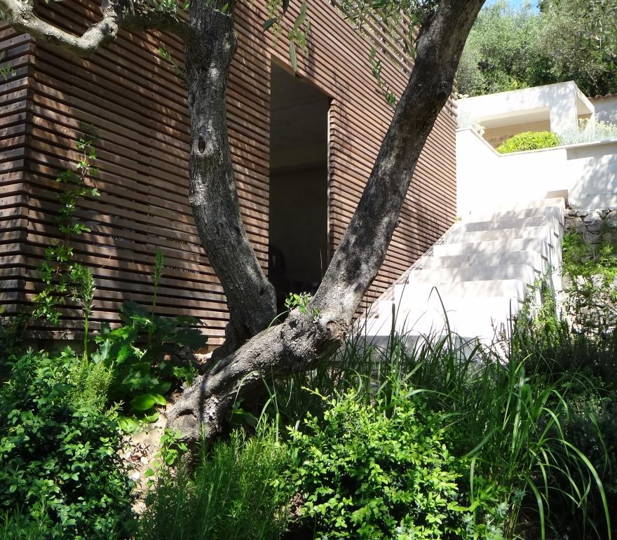 3 Escalier Jardin